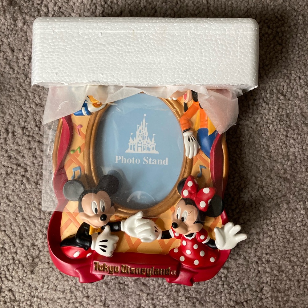Tokyo Disney Picture  Frame